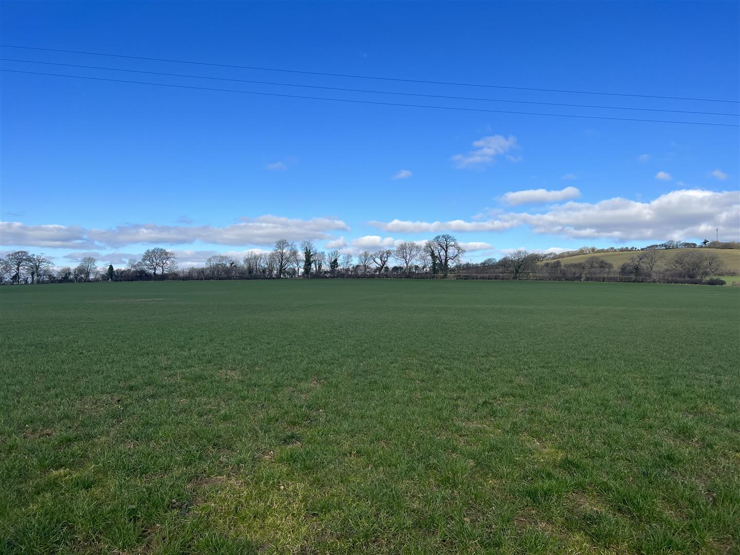 By Auction Approx. 28 acres at Sarnau Fields, Bancyfelin, Llysonnen